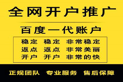 SEM竞价代运营：案例展示精准营销效果